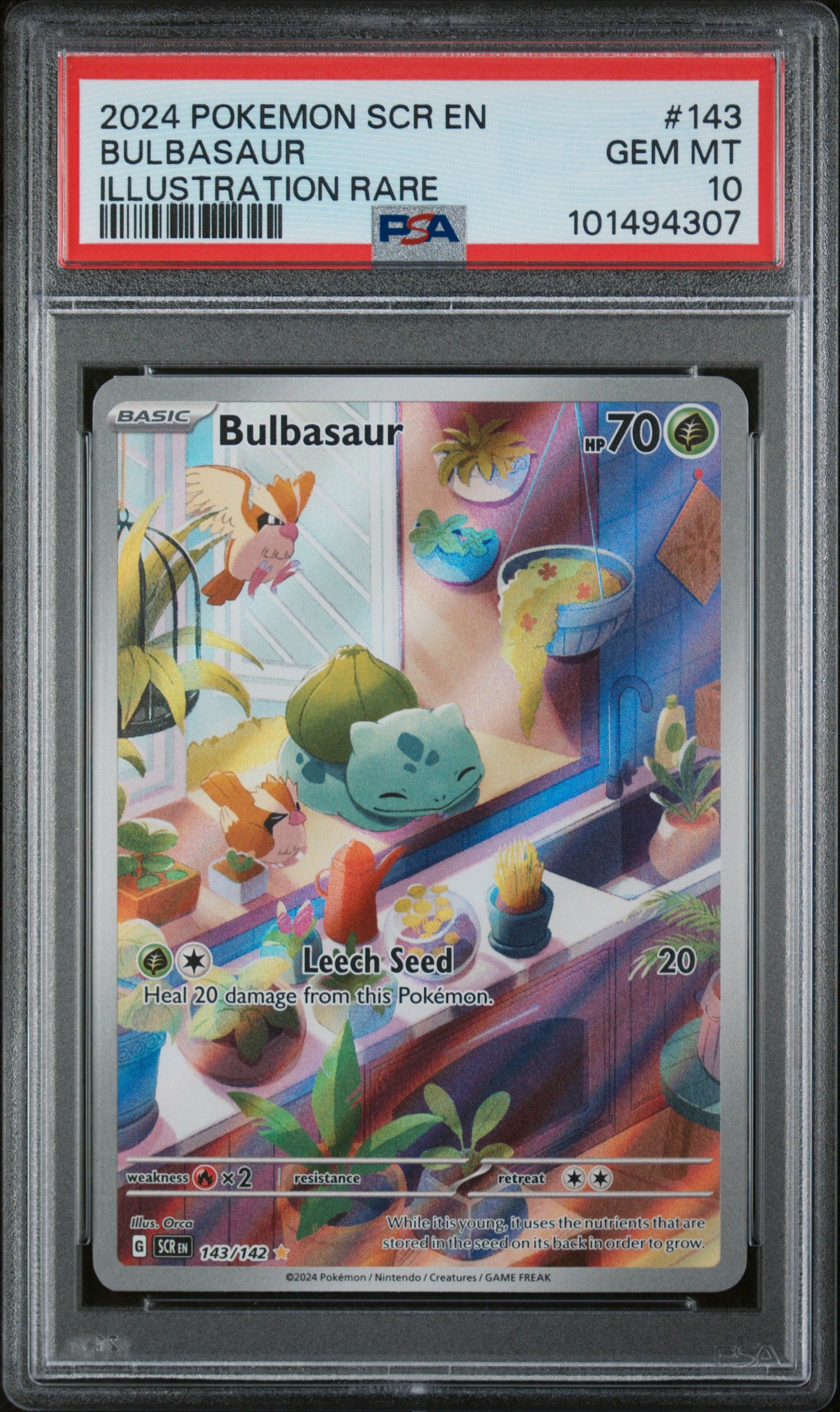 PSA 10 2024 Stellar Crown #143 BULBASAUR IR